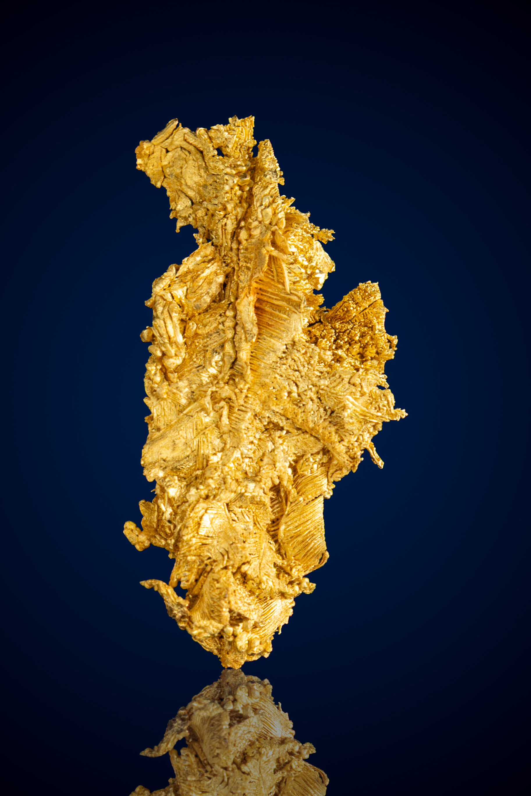 Striking, Latticed Crystallized Gold Nugget - Round Mountain, NV - 3.54 grams (image for) Striking, Latticed Crystallized Gold Nugget - Round Mountain, NV - 3.54 grams